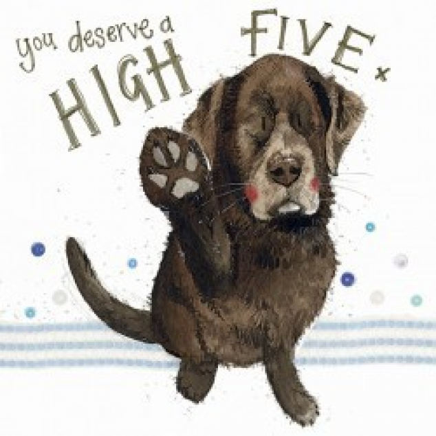 Wenskaart You deserve a High Five.